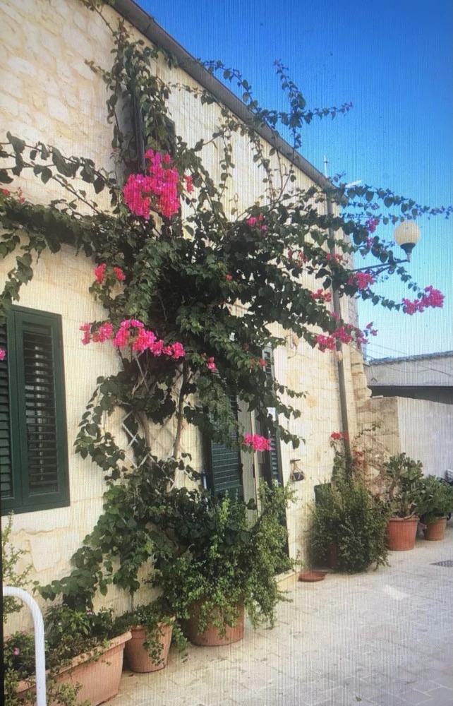 Casa D'artista Sampieri - Casa Del Pescatore-3