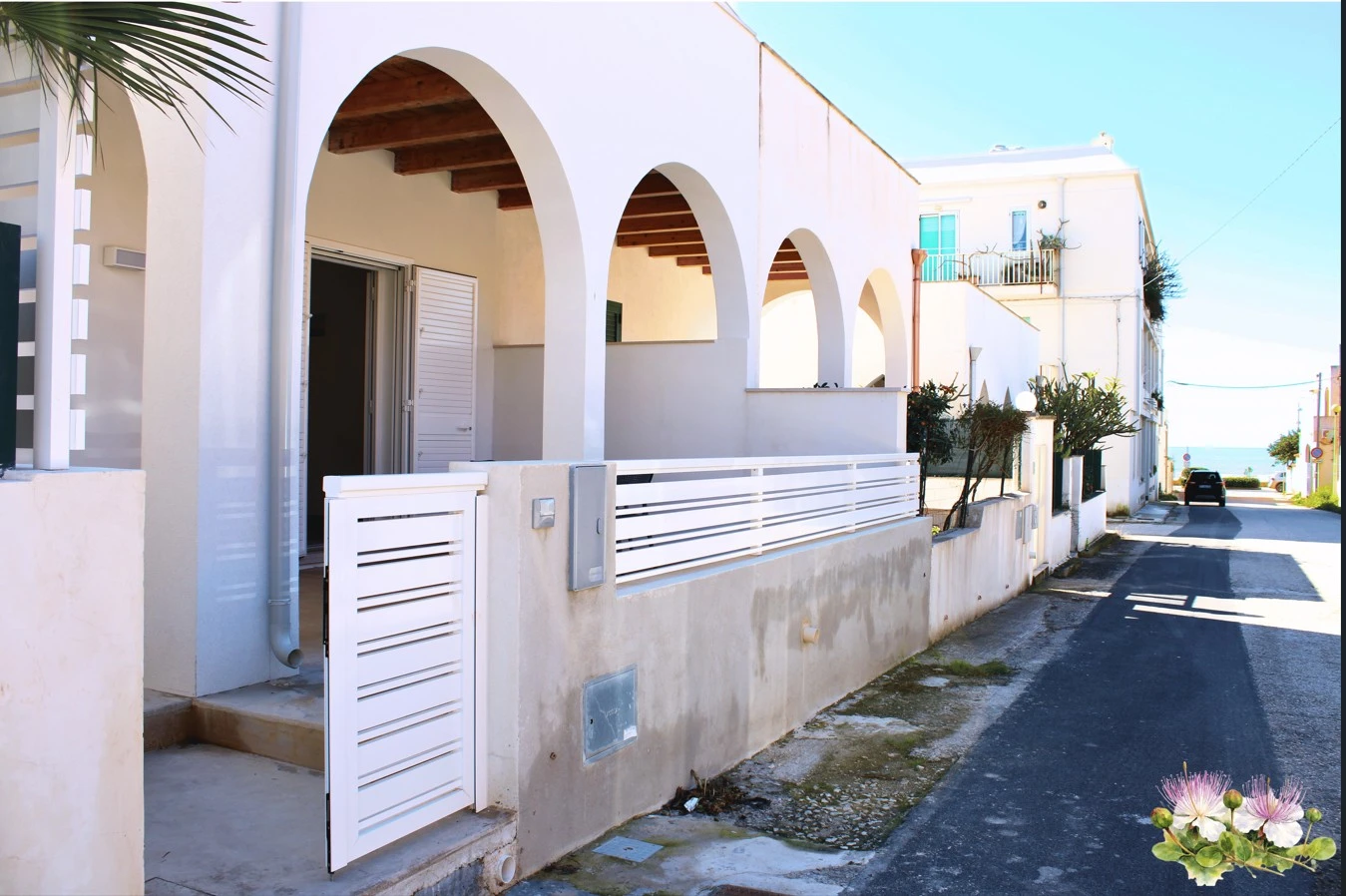 Orchidea Del Mediterraneo-2