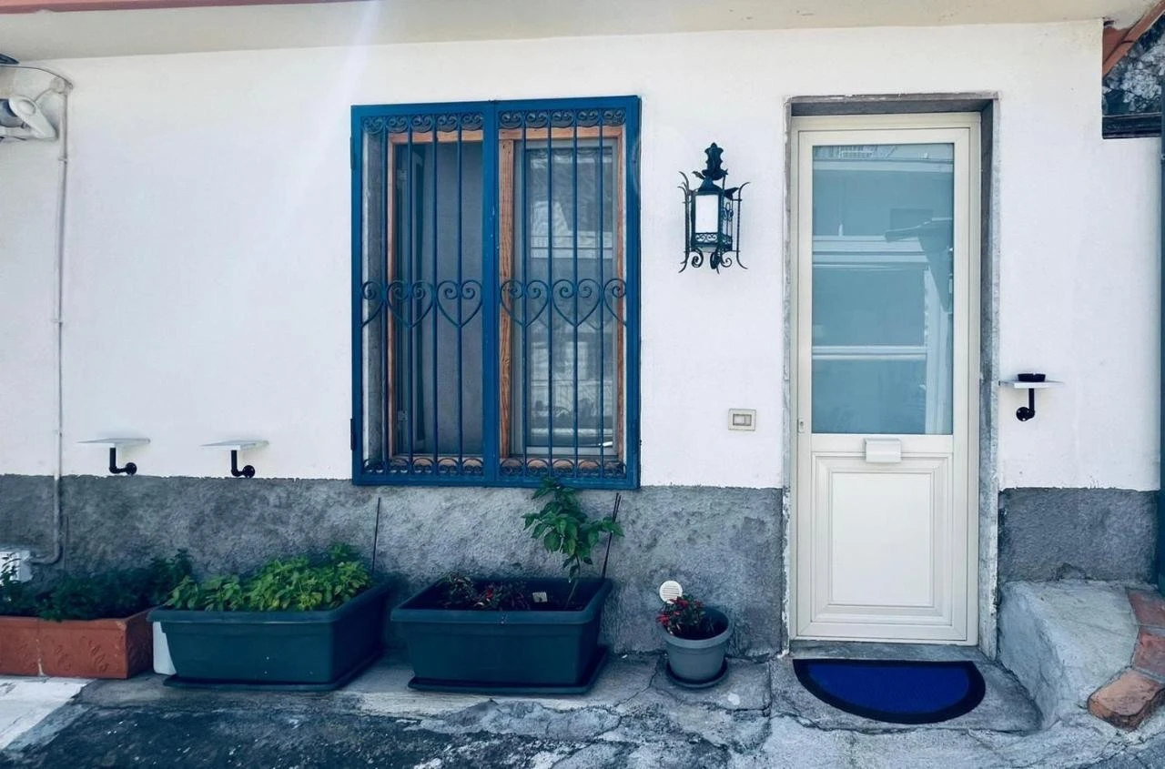 Blue House-2