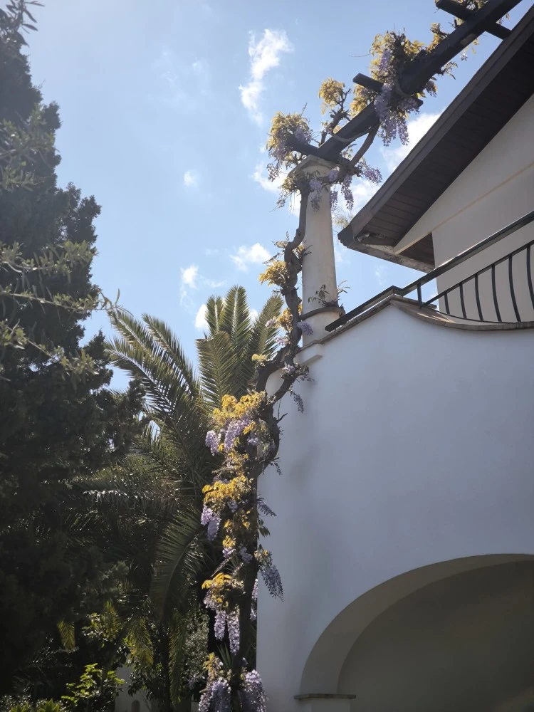 Residence Terra Rossa-4