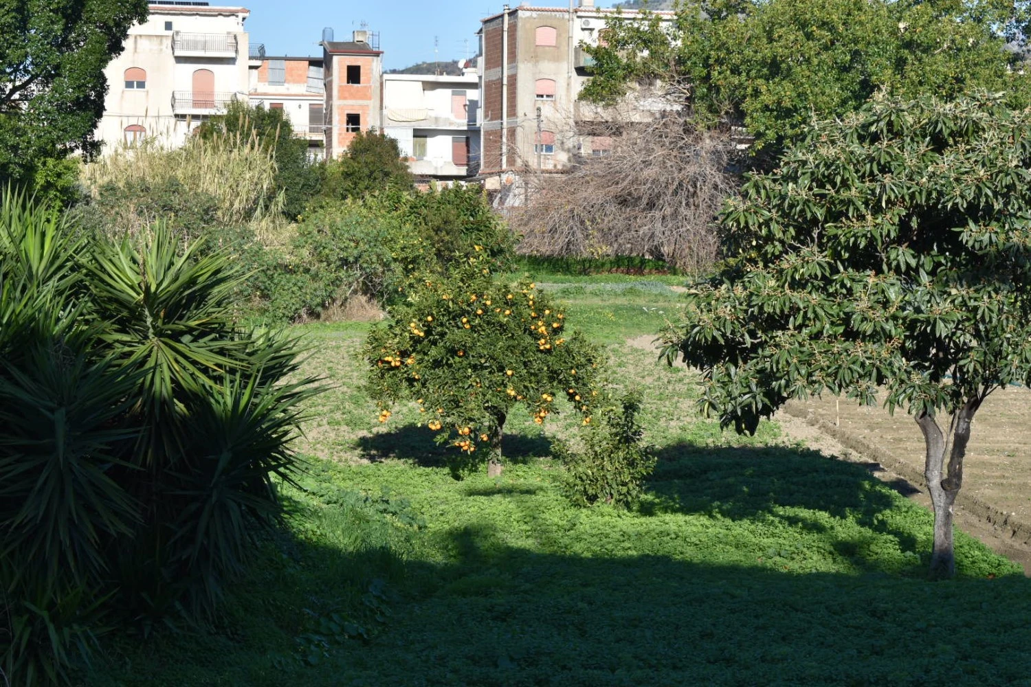 Casa Jaya Taormina-3