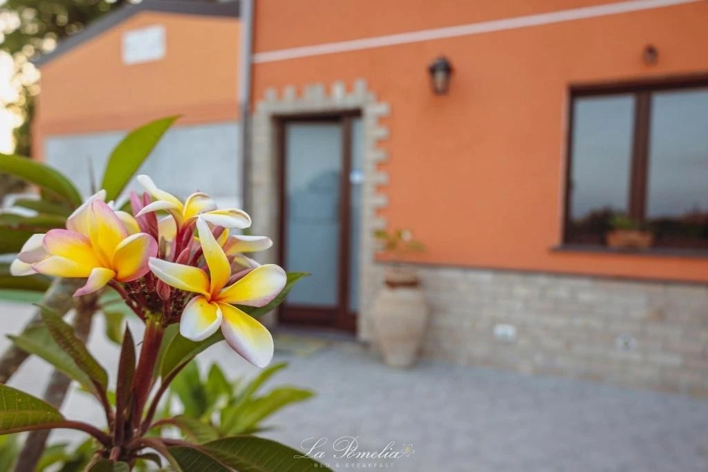 La Pomelia B&b-2