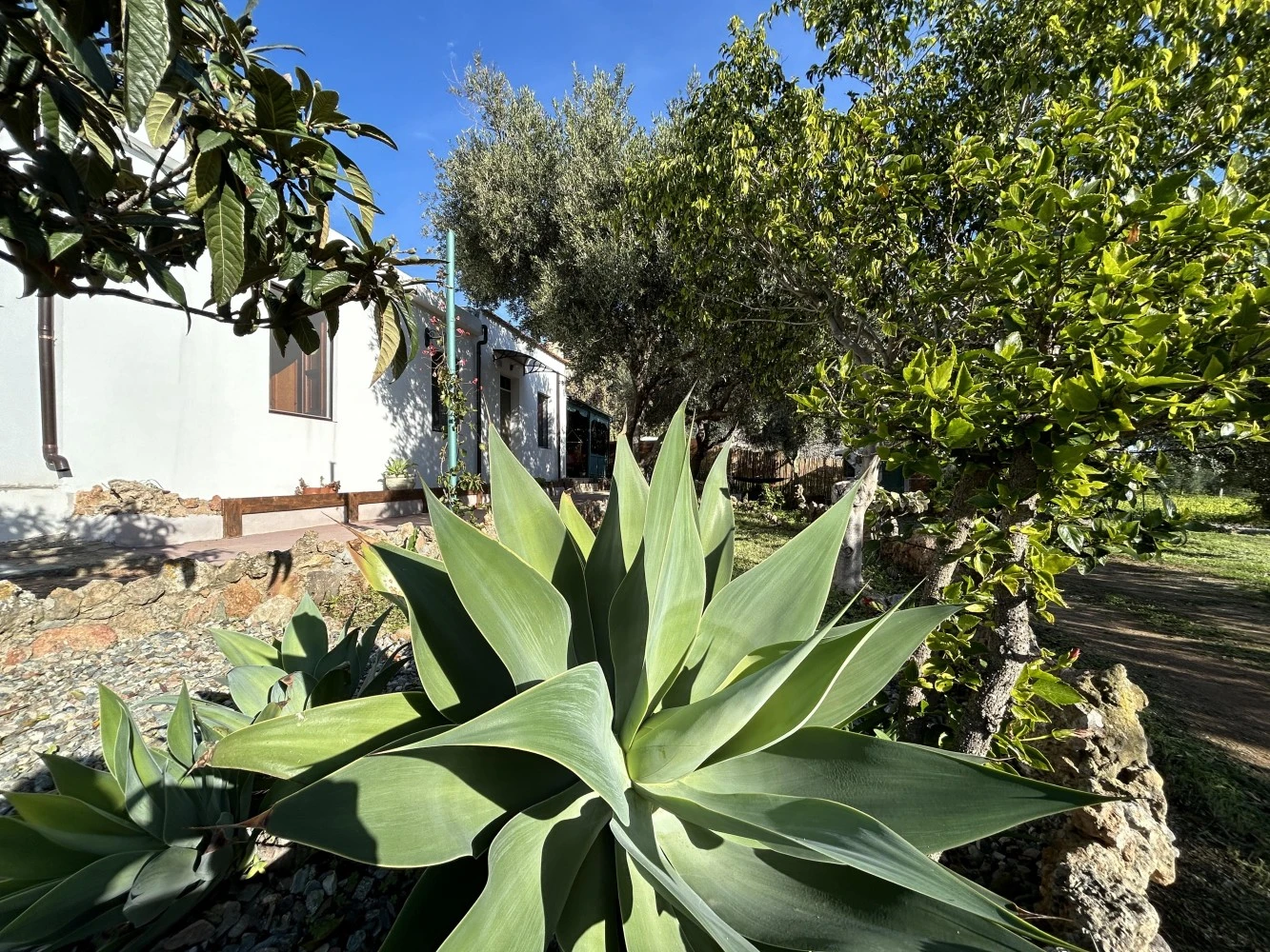 Casa Vacanze Sa Brèca-1