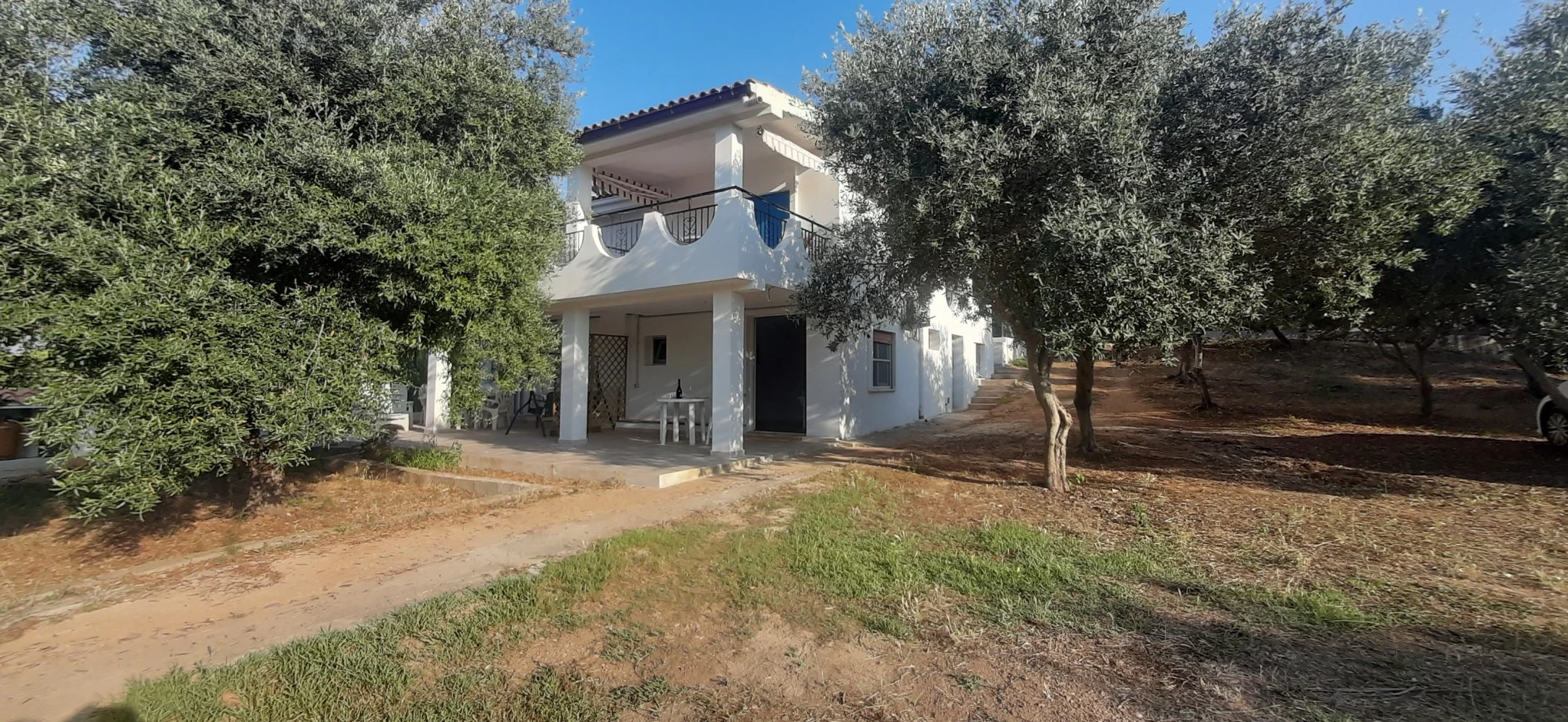 Le Bleu Et Le Vert-1