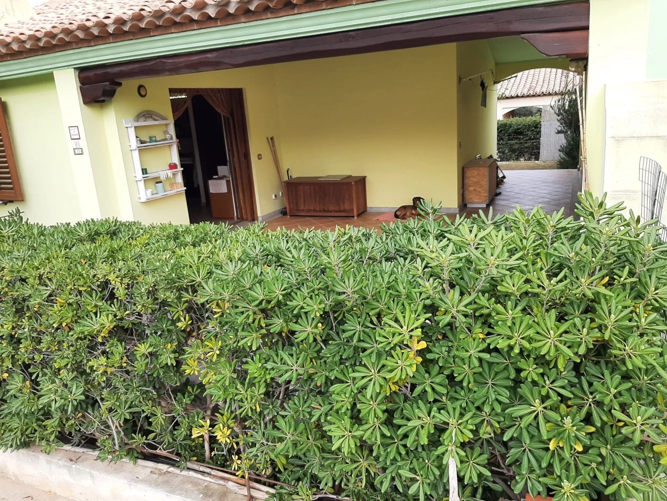 Villetta Brezza Marina-1