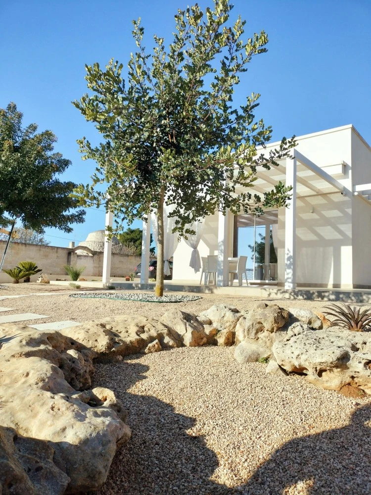 B&b Bianco Mediterraneo-1