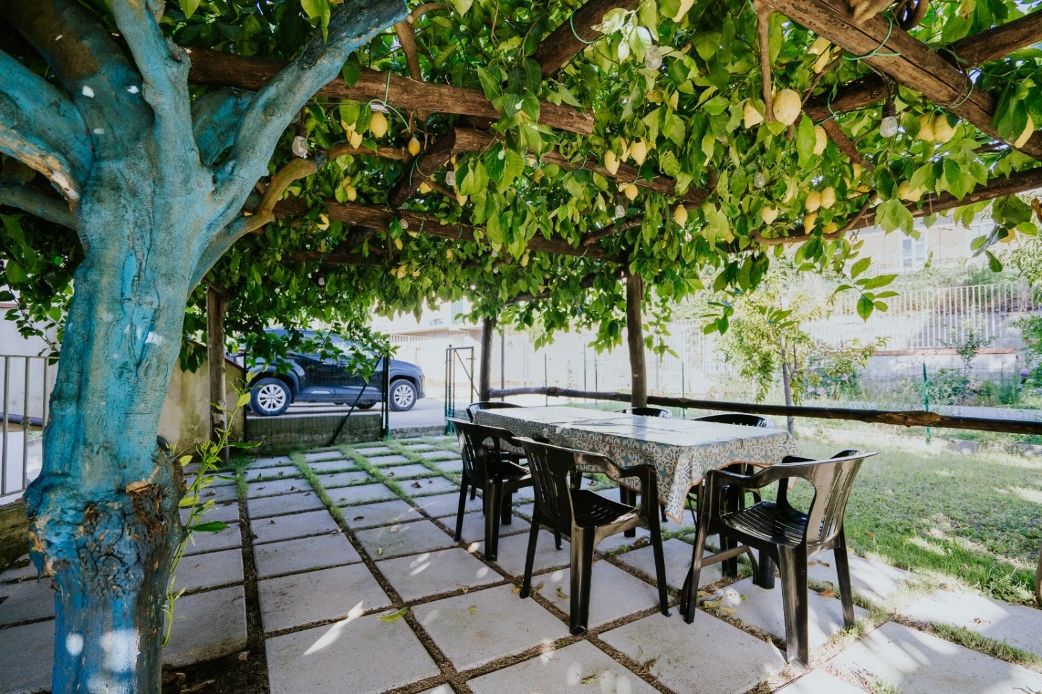 Casa Vacanze Il Giardino Dei Limoni-4