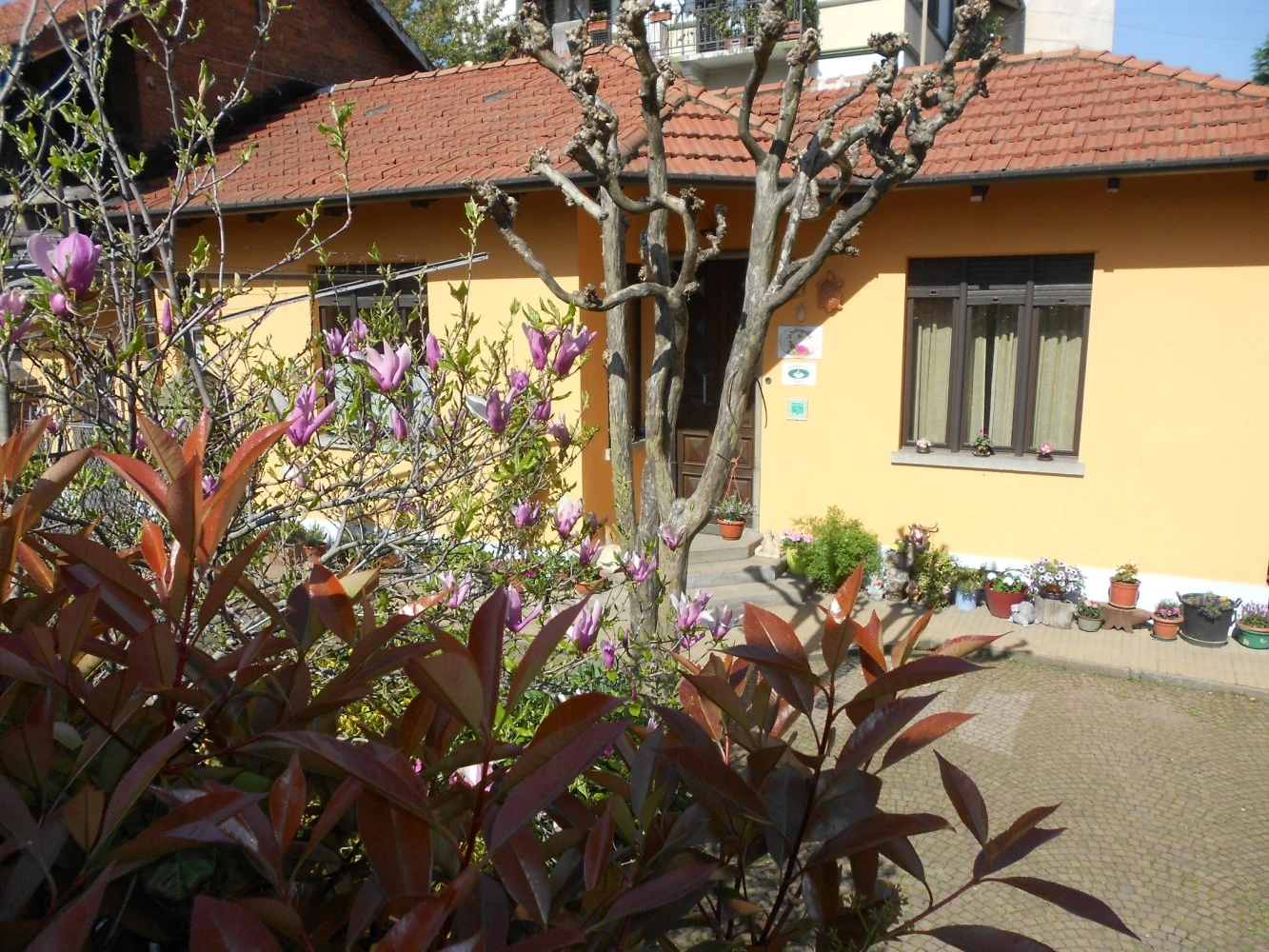 La Tartaruga Reale B&b-1