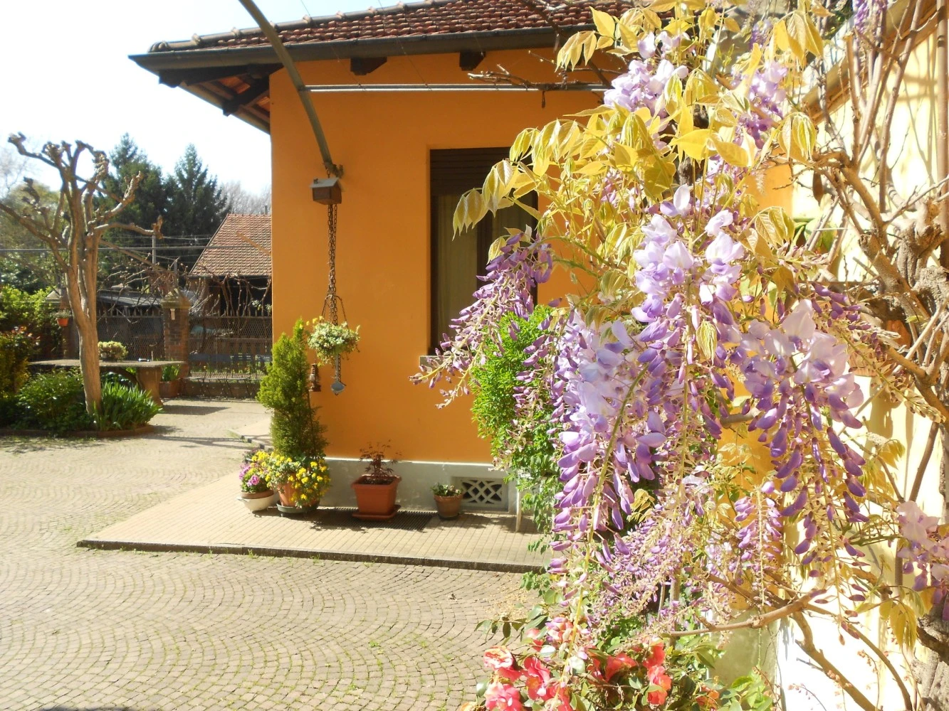 La Tartaruga Reale B&b-2
