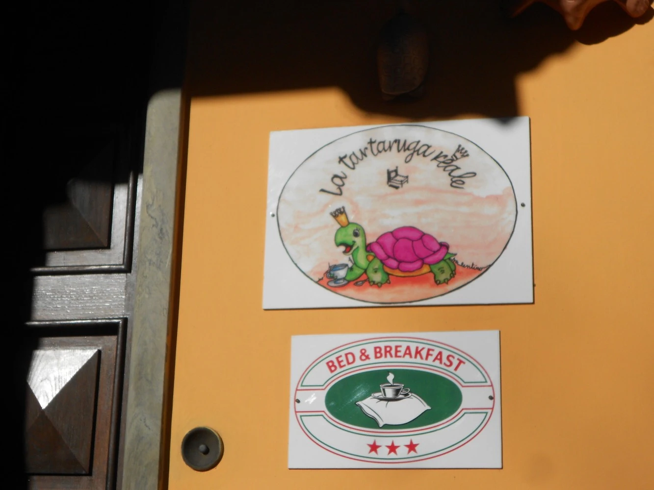 La Tartaruga Reale B&b-4