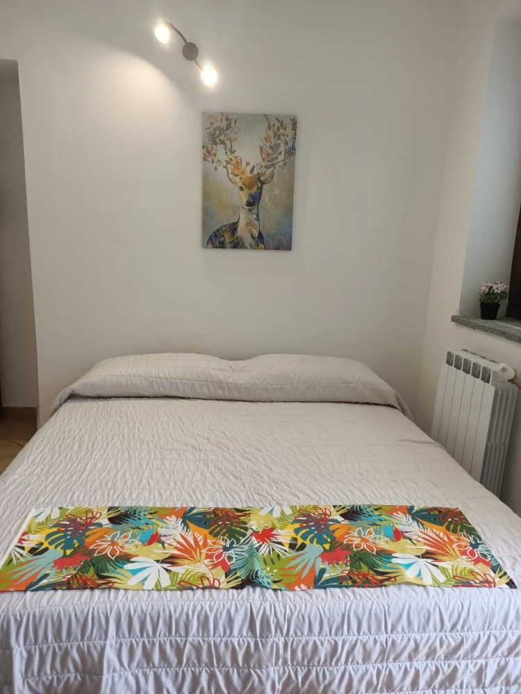 Il Cervo Reale Di Venaria-1