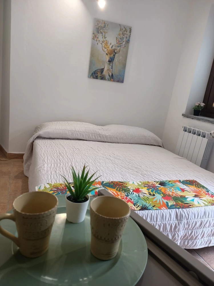 Il Cervo Reale Di Venaria-2