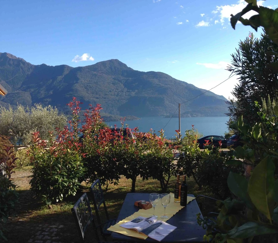 Residence La Collina - Mirtillo-1