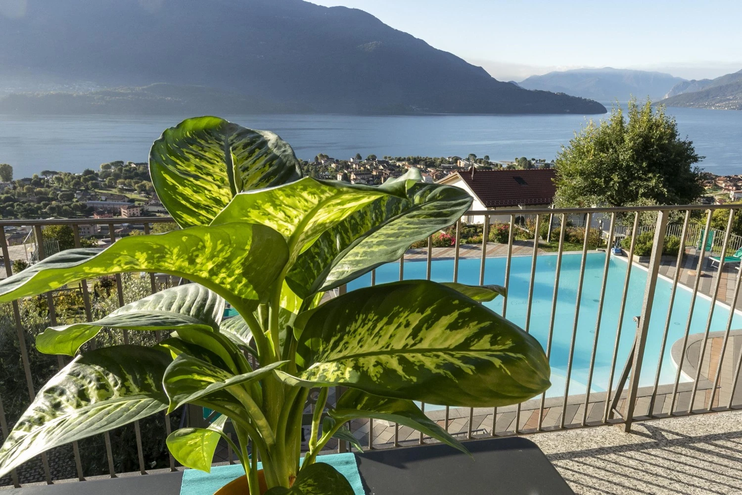 Residence La Collina - Coratina-2