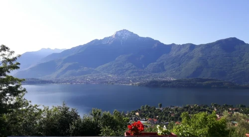 Casa Panorama