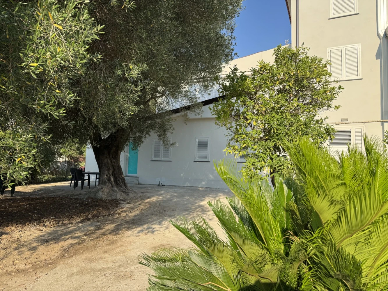Casa Marina Dp-1