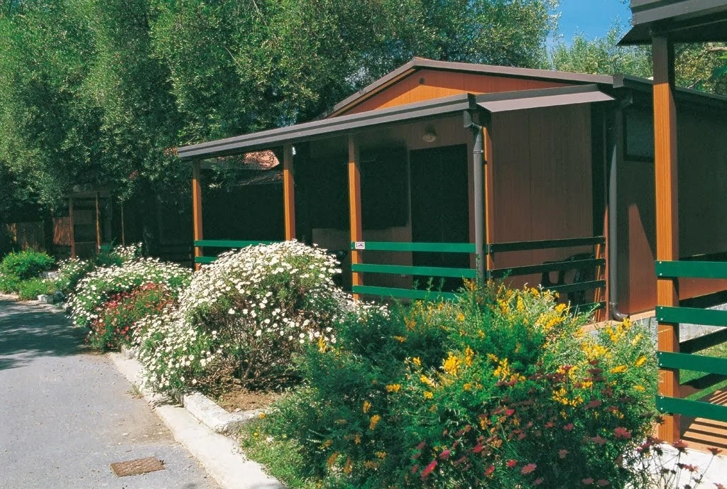 Camping Residence Oliveto Villammare-2