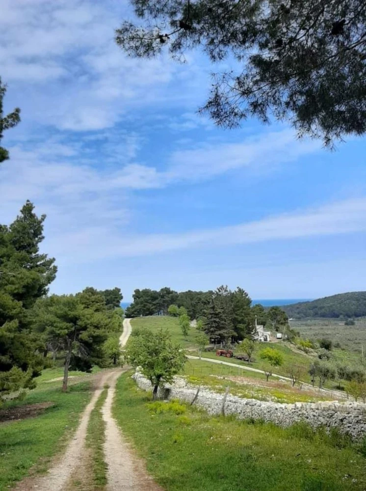 La Casa Degli Ulivi-4