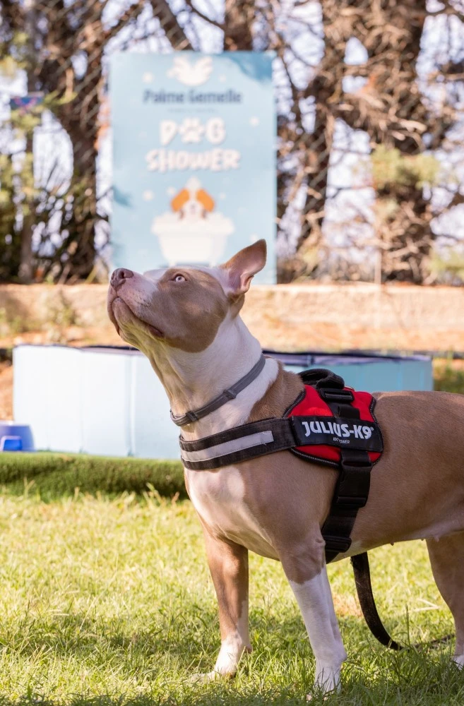 Hotel Palme Gemelle-3