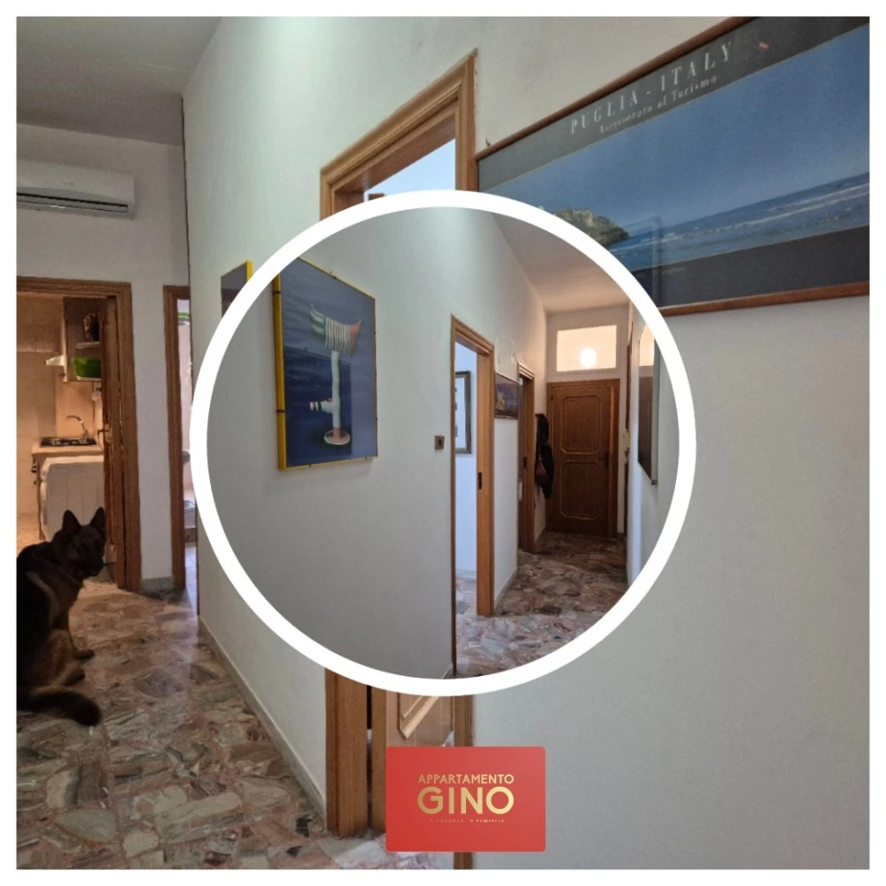 Appartamento Gino-3