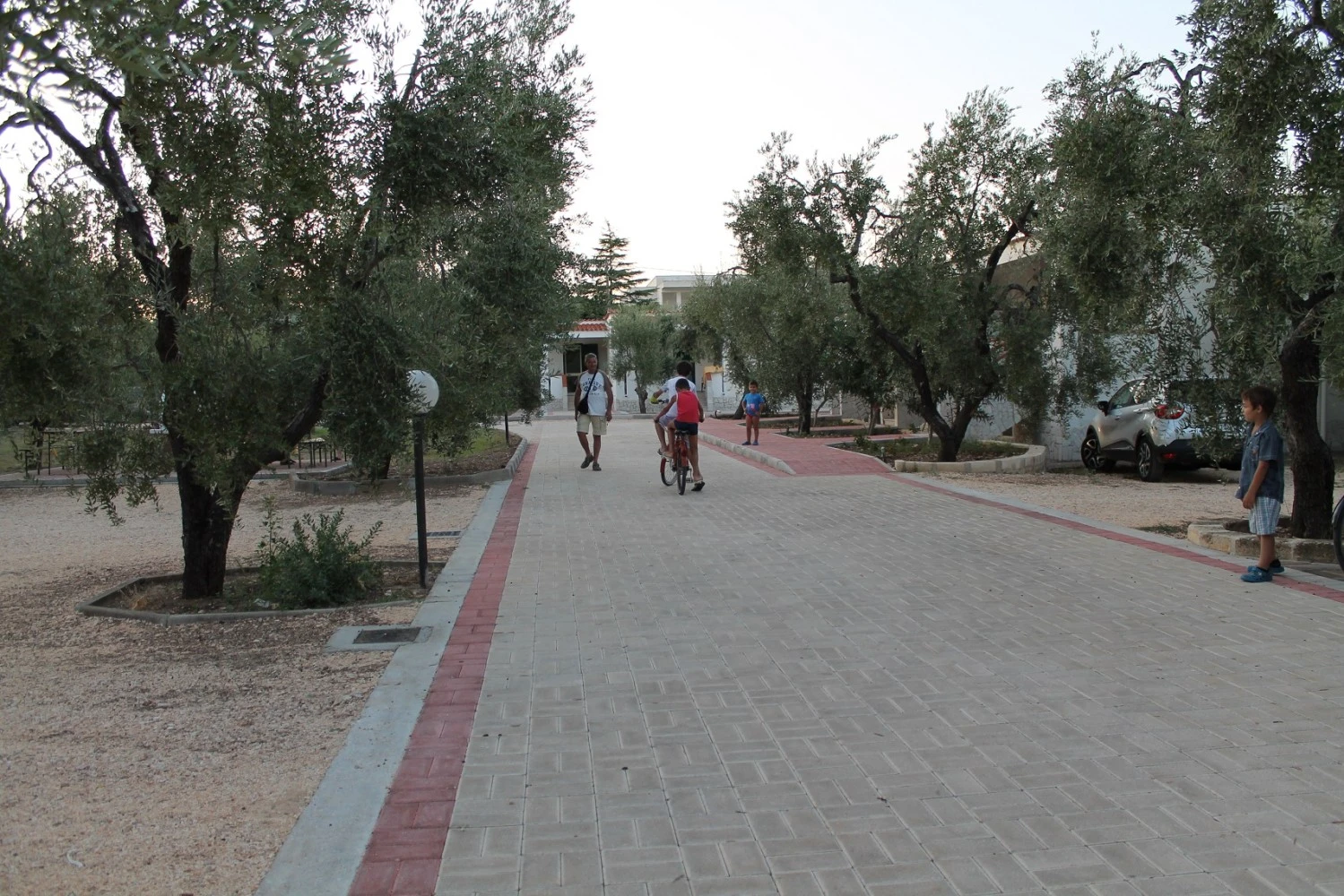 Tenuta Montincello-4