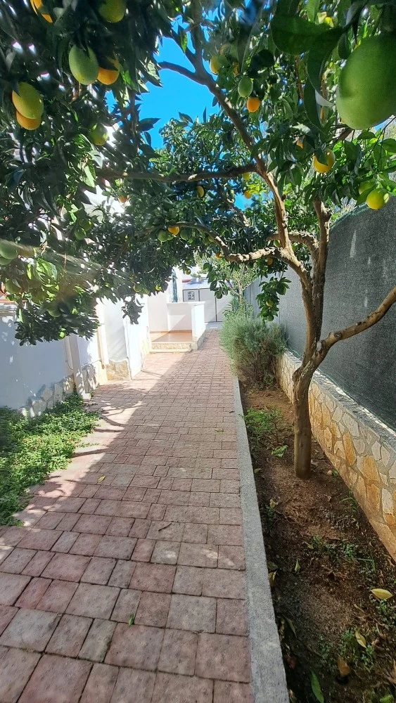 One Love Apartments Di Bua Pasquale-5