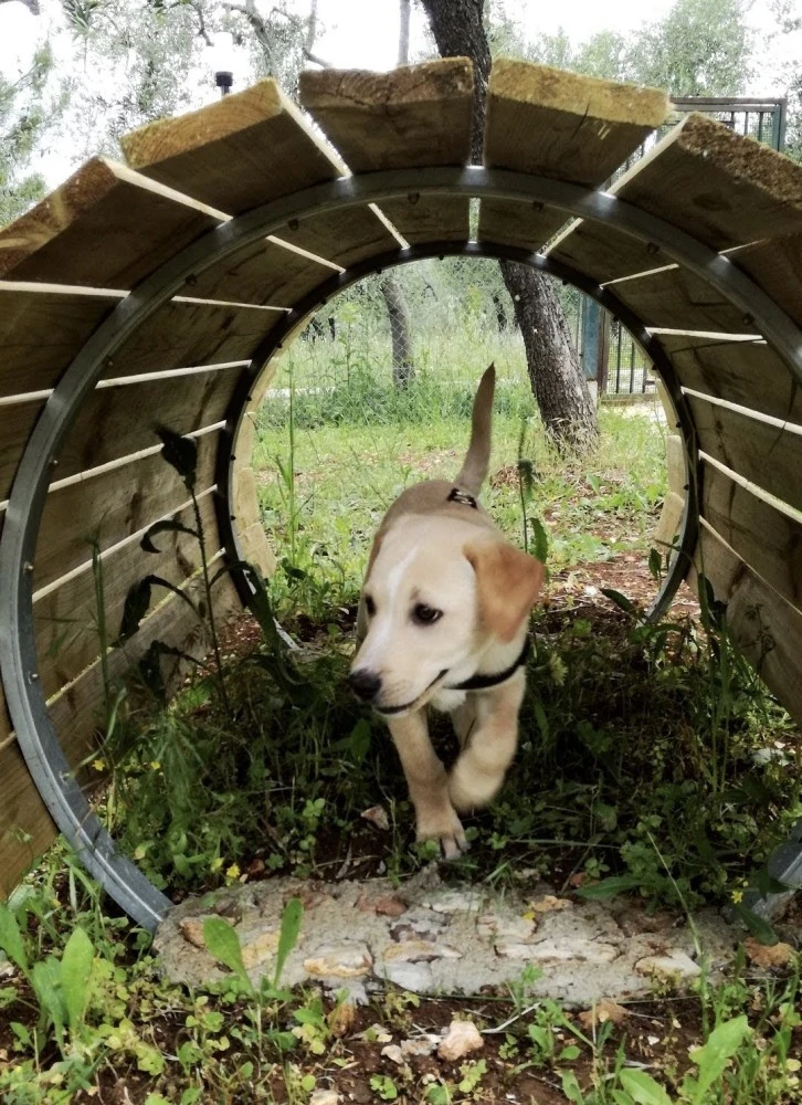 Residence San Luca-4
